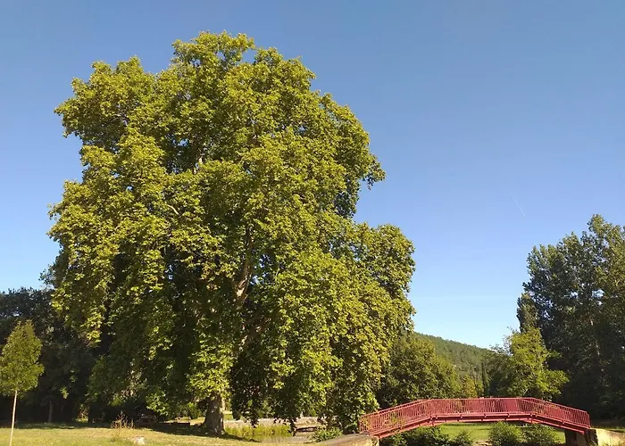 Pensjonat Le Sourire Du Troubadour - 8 - Baignade A 300 M - Salle De Jeux - Poele A Bois *